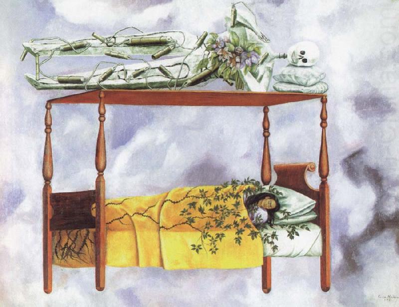 the dream, Frida Kahlo